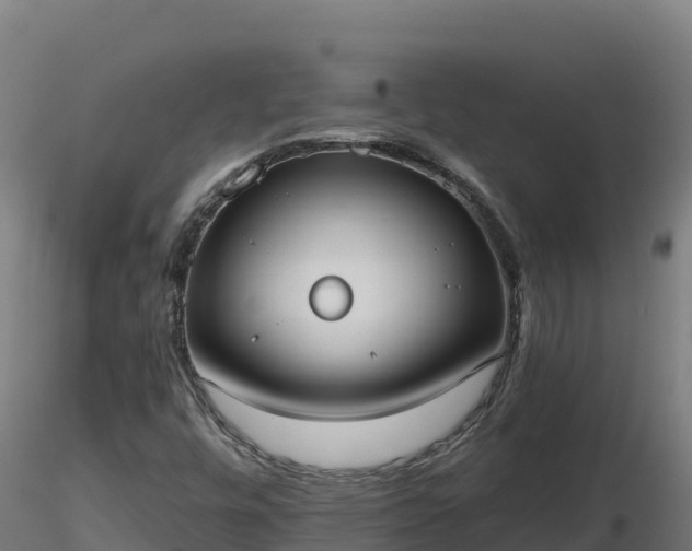 X0000116771448200912241153