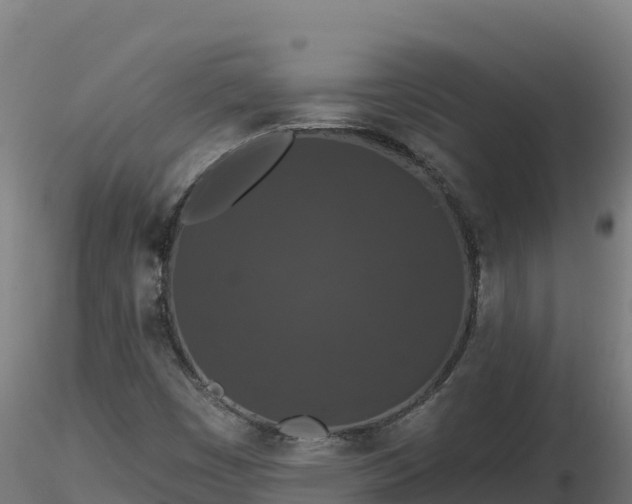 X0000116771449200912241153