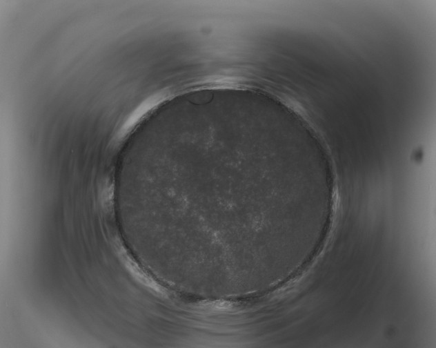 X0000116771450200912241153