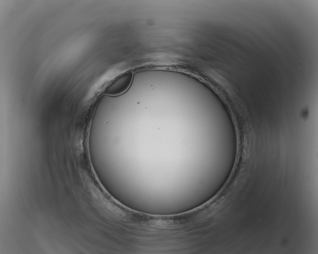 X0000116771451200912241153