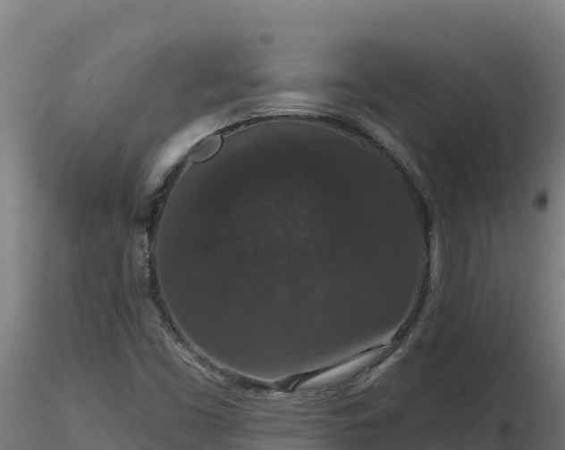 X0000116771453200912241153