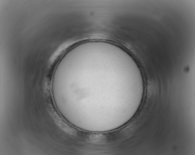 X0000116771454200912241153