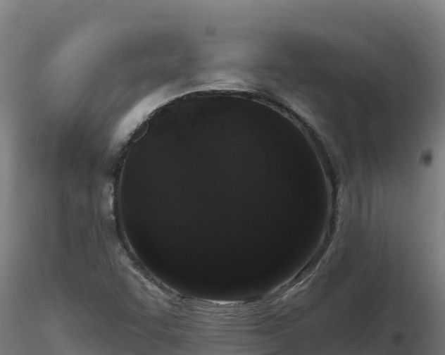 X0000116771455200912241153