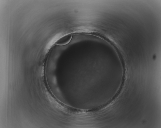 X0000116771459200912241153