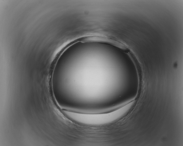 X0000116771460200912241153