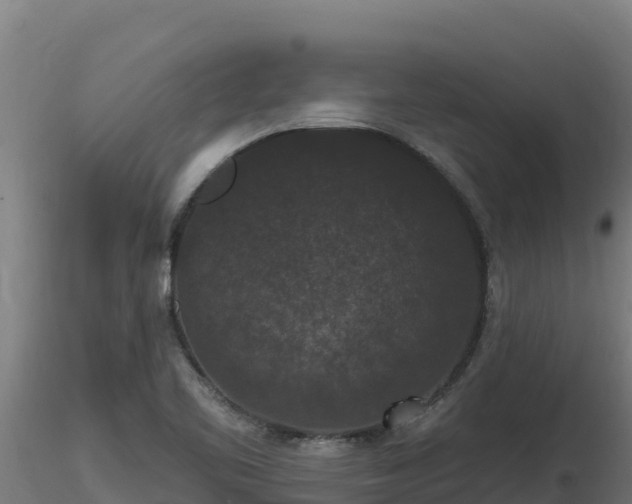 X0000116771461200912241153