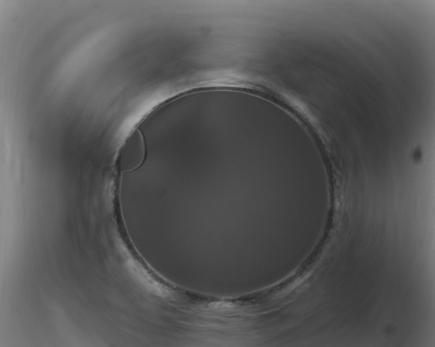 X0000116771463200912241153