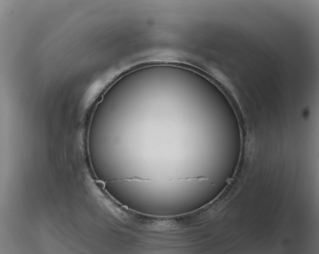 X0000116771464200912241153