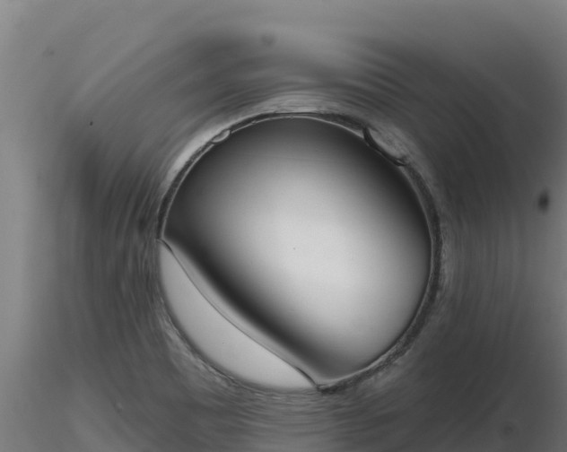 X0000116771465200912241153