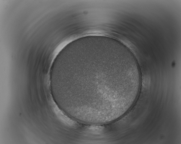X0000116771466200912241153