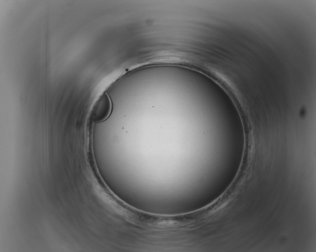X0000116771467200912241153