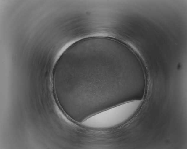 X0000116771468200912241153