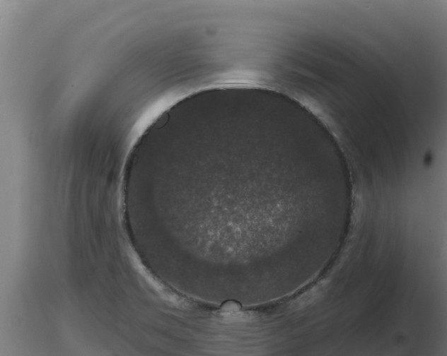 X0000116771469200912241153