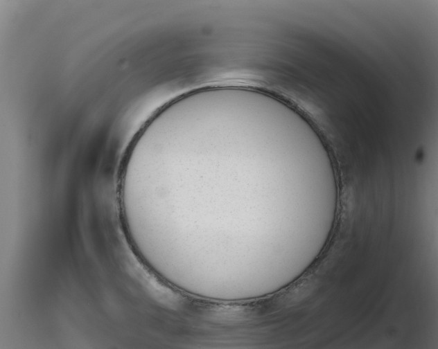 X0000116771470200912241153