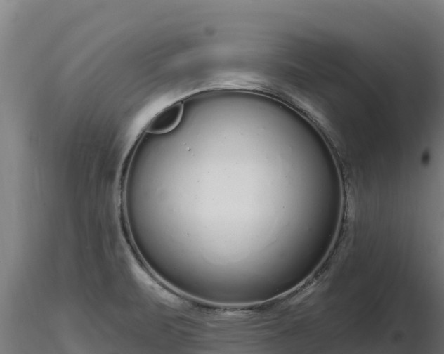 X0000116771471200912241153