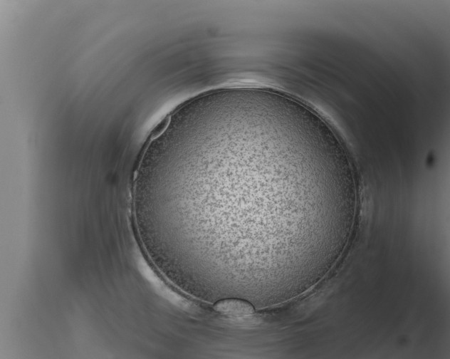 X0000116771476200912241153