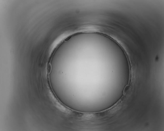 X0000116771477200912241153
