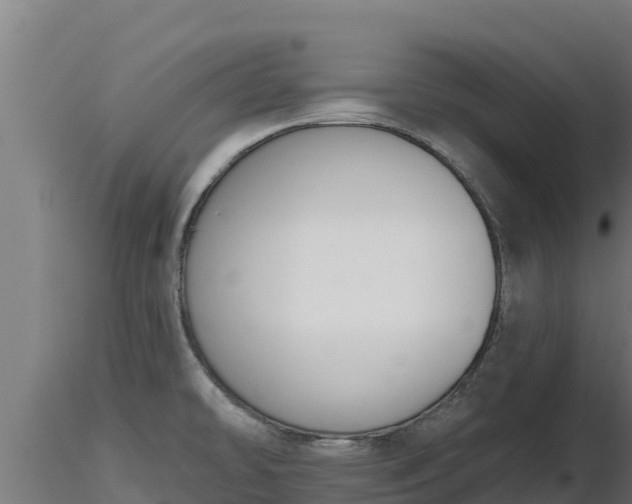 X0000116771478200912241153
