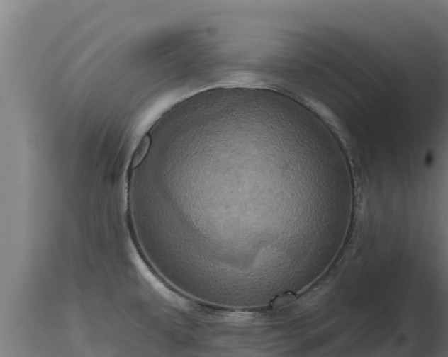 X0000116771479200912241153