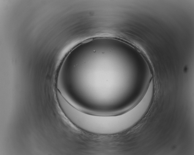 X0000116771480200912241153