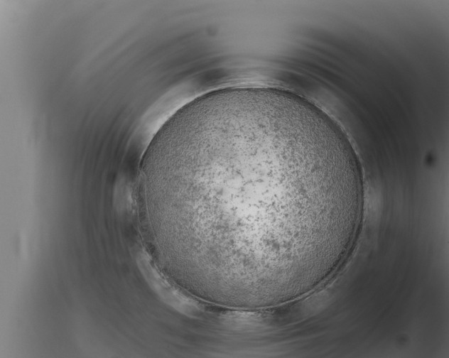 X0000116771481200912241153