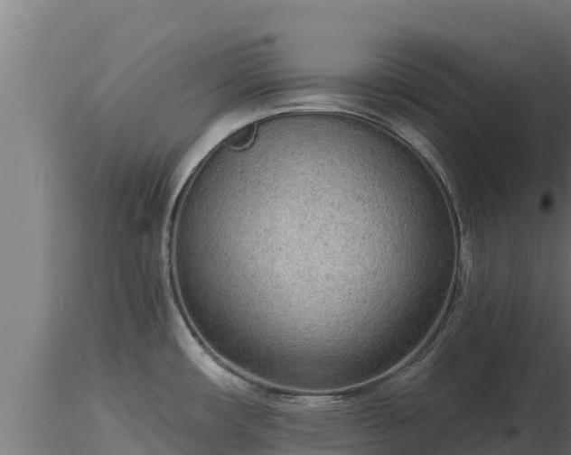 X0000116771482200912241153