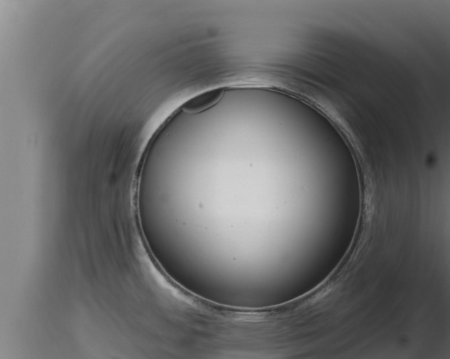 X0000116771484200912241153