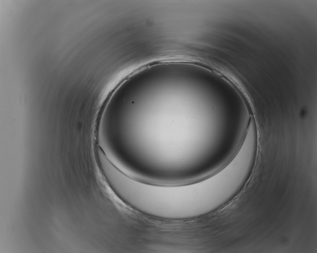 X0000116771485200912241153