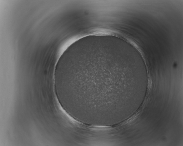 X0000116771487200912241153