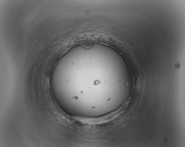 X0000116771489200912241152