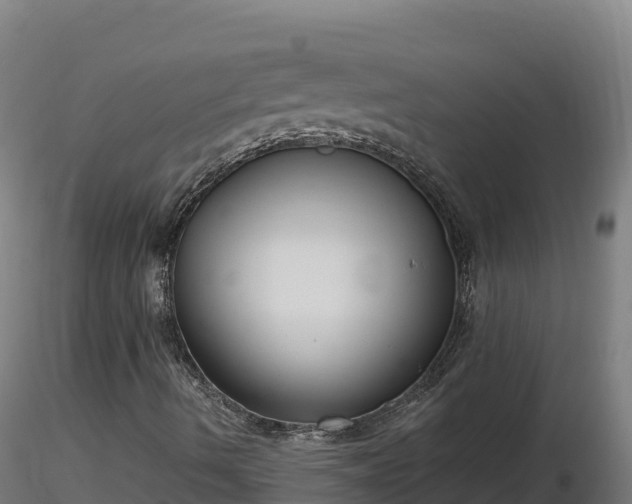 X0000116771490200912241152