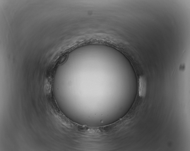 X0000116771491200912241152