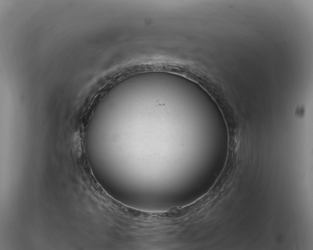 X0000116771493200912241152