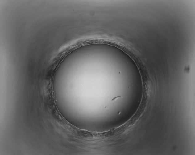 X0000116771494200912241152