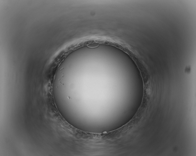 X0000116771495200912241152