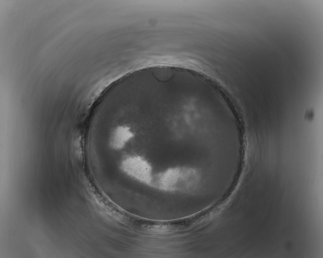 X0000116771497200912241152