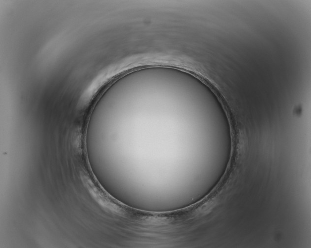 X0000116771499200912241152