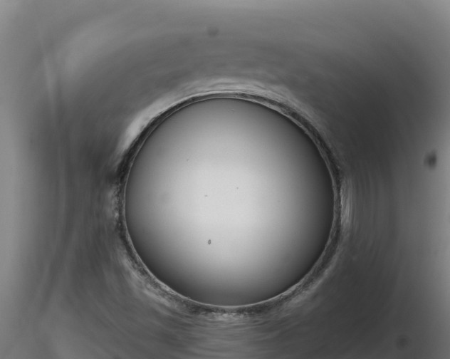 X0000116771501200912241152