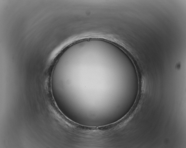 X0000116771502200912241152