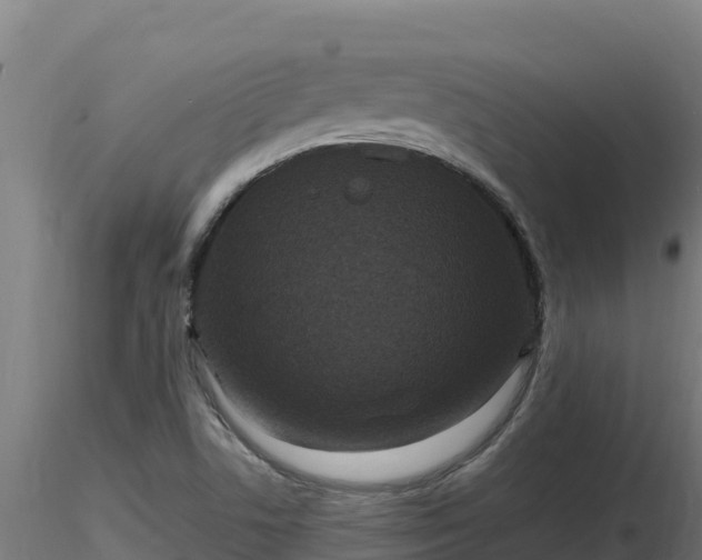 X0000116771506200912241152