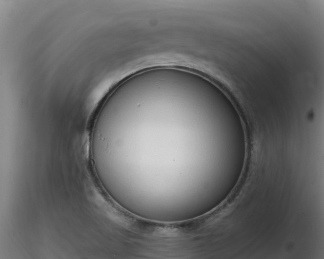 X0000116771509200912241152