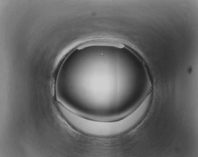 X0000116771510200912241152