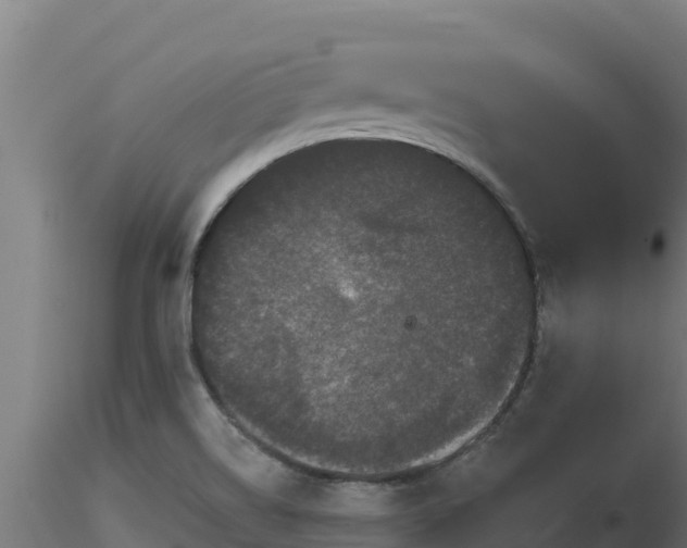 X0000116771514200912241152