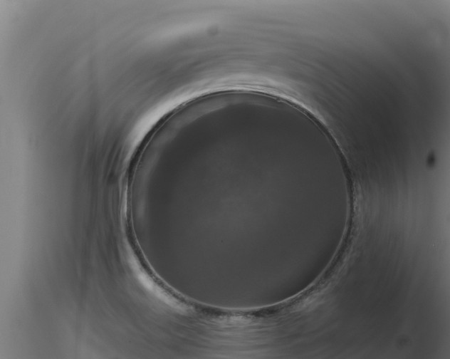 X0000116771515200912241152