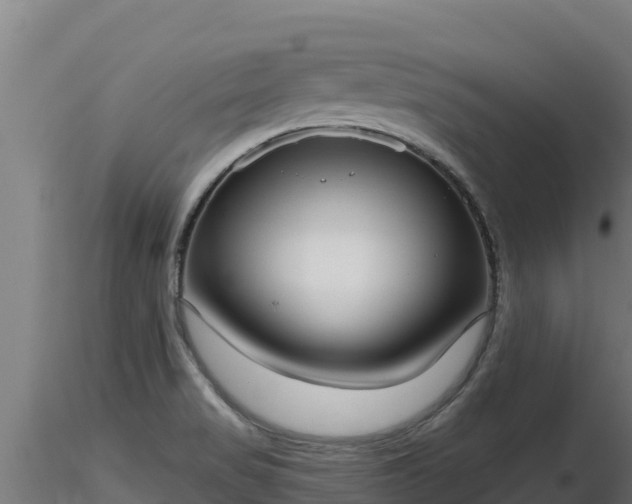 X0000116771517200912241152