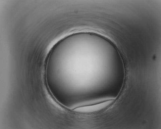 X0000116771518200912241153