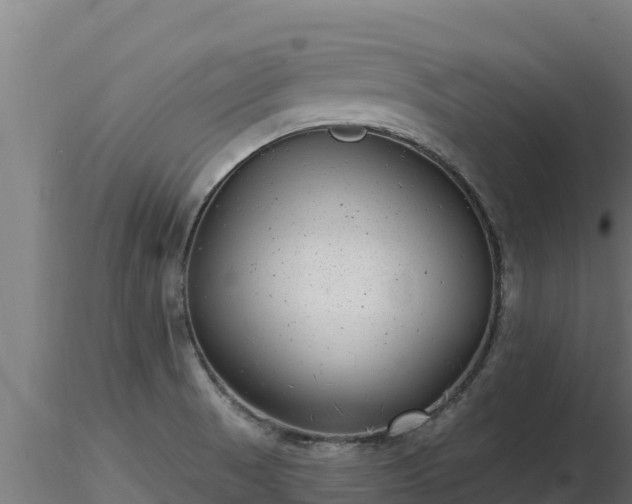 X0000116771521200912241153