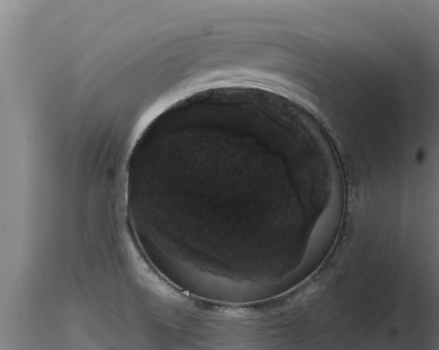 X0000116771522200912241153