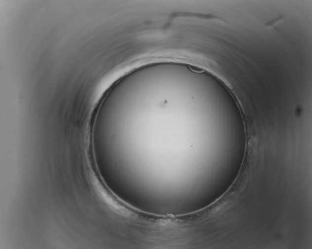 X0000116771523200912241153