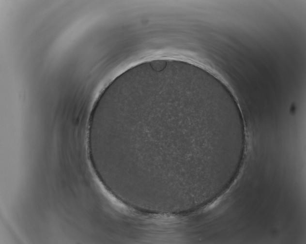 X0000116771525200912241153